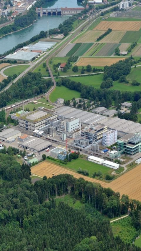 Am Standort Kaisten stellt die BASF vor allem Kunststoffadditive her, darunter grossvolumige Antioxidantien. Auch das Anwendungszentrum für Kunststoffadditive für die Region EMEA hat seinen Sitz am Standort. 