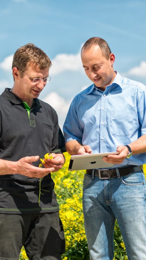 BASF’s well-stocked innovation pipeline offers farmers new technologies and solutions in strategic customer segments for key crop systems to enable balance between agricultural productivity, environmental protection and society’s need. A proof for BASF’s innovation strength is its research and development for the crop system including wheat, canola and sunflower.