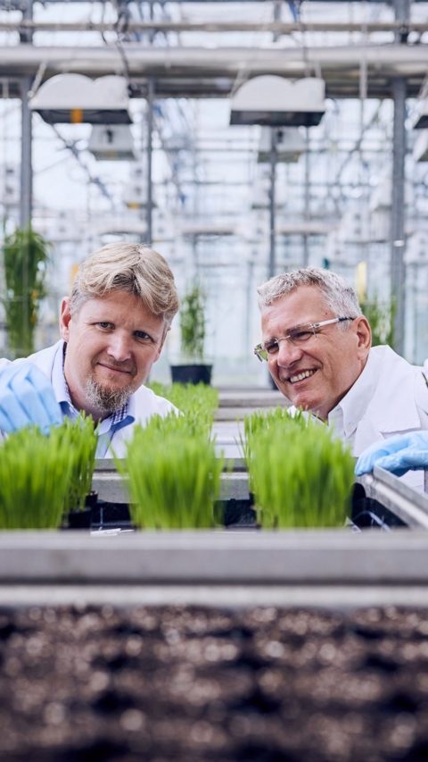 Worldwide, BASF researchers work on new agricultural solutions that enable balance between agricultural productivity, environmental protection and society’s needs.