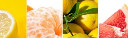 AR-Cultivo-frutales-citricos: Limon, mandarina, naranja, pomelo
