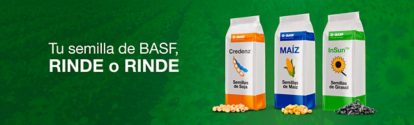 AR semillas BASF Rinde o RInde BANNER