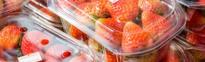 Strawberry ripe packed in plastic boxes
