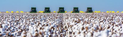 Correntina, Bahia, Brazil, February 26, 2019: Agriculture - Machines in formation harvesting ripe cotton, high productivity, aerial image, cotton bales in the field, blue sky - Agribusiness; Shutterstock ID 1662184774; purchase_order: ; job: ; client: ; other: 
