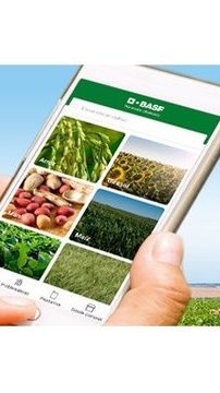 Llego la app BASF Agro Argentina