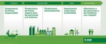 BASF Sustainability Roadmap (Spanish)