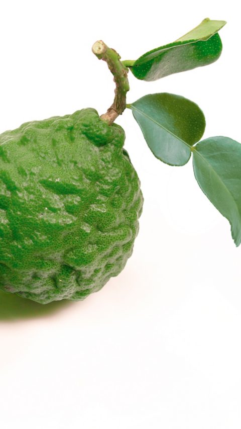 Natural Aroma Ingredients - Photo of bergamot fruits