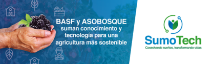 Sumo tech BASF y Asobosque Colombia