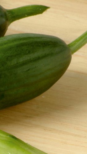 Cucumber 28-09-2021-1280x1280.jpeg