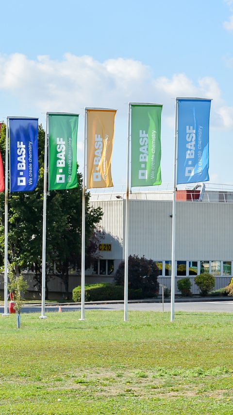 Drapeaux BASF présents sur le site de la Division Coatings à Breuil-le-Sec. Ce site est l'un des plus grands en France avec plus de 400 salariés.