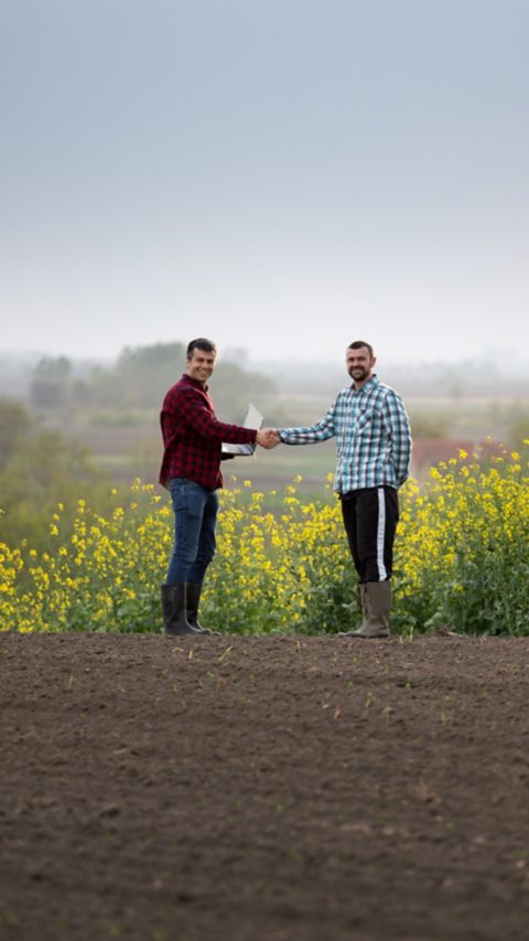 Two satisfied farmers with laptop shaking hands in yellow rapeseed field; Shutterstock ID 1385220242; PO Number: Shutterstock 1086744798: 1086744798; Name des Bestellers: Tobias Schulte; Abteilung: APM/KB; SAP Nummer: 20752280