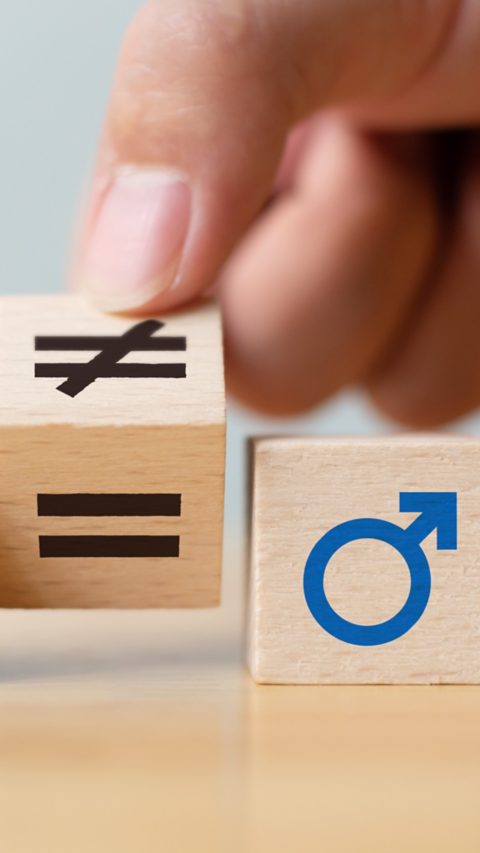 Gender Equality Blocks