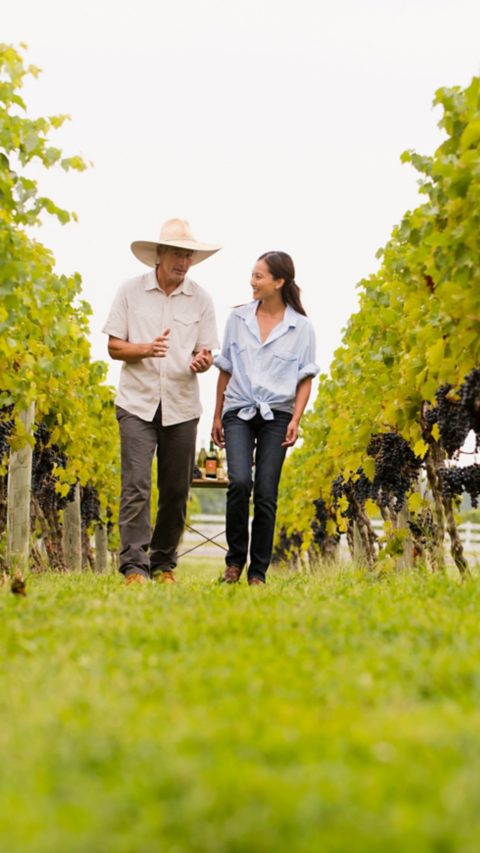 Farmers talking in vineyard