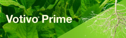 Votivo Prime plantas verdes BASF Brasil