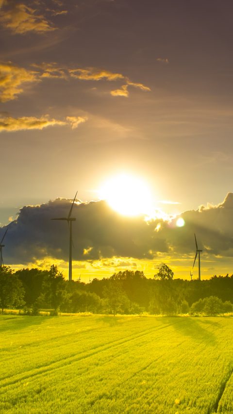 ASunset and wind turbines