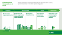 Infográfico website de sustentabilidade ES.png
