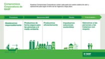 Infográfico website de sustentabilidade ES.png