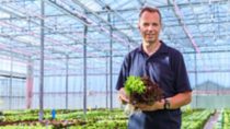 Lettuce Sucrine Spain Producer - CANO NATURE