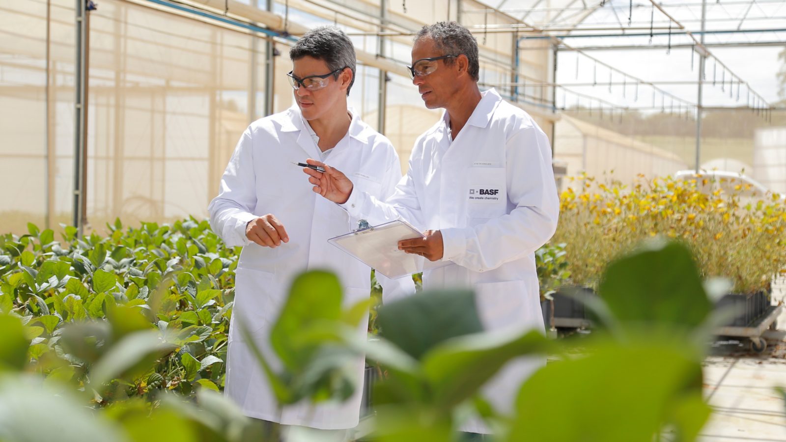 BASF Strengthens Innovation Pipeline For Sustainable Agriculture