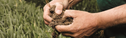 Soil in the hands of a farmer with crops in background