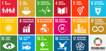 Sustainable Development Goals icons. Framework for sustainable business practices at the economic, social and environmental levels