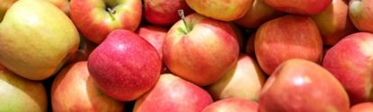 UY-cultivo-manzana