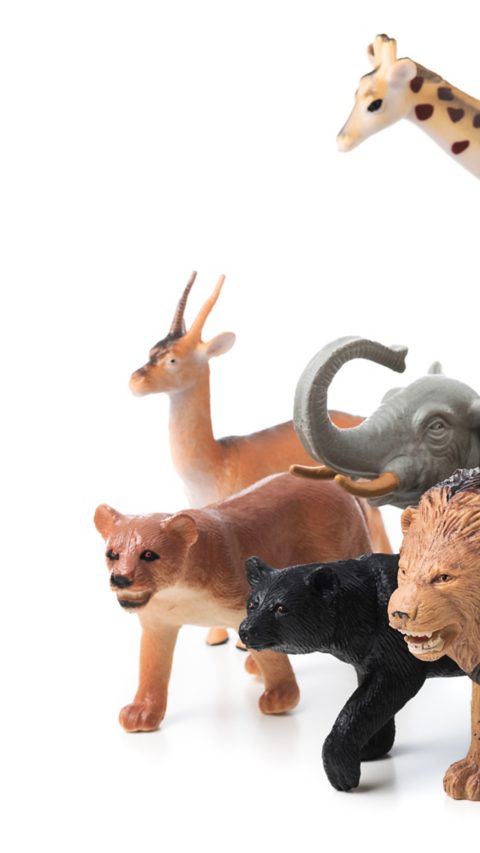 Group of jungle animals toys isolated over white background. Plastic animals toys.