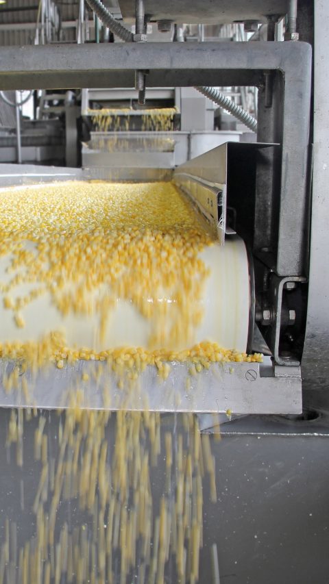 Corn processing factory, food industry; Shutterstock ID 159894719; PO: TPU