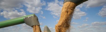 Colheitadeira de trigo BASF Brasil