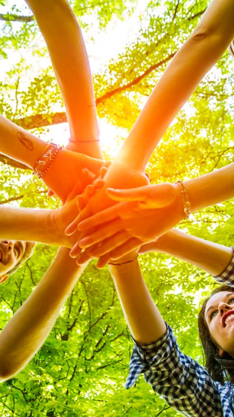 Group of friends with hands in hands with sunlight - Teamwork
