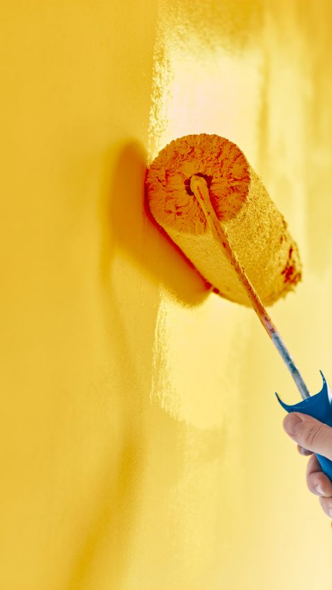 Male hand painting wall with paint roller. Painting apartment, renovating with sunflower color paint