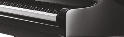 Detail of Piano D 274 black polished