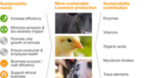 Graphic describes how BASF Animal Nutrition products contribute sustainability needs, more sustainable livestock production and sustainability contribution