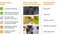 products-contribute-sustainability.png