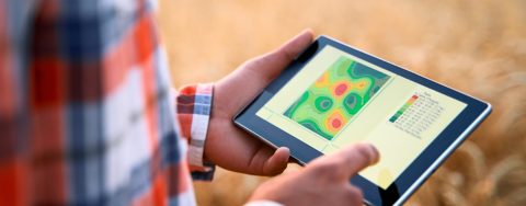Precision farming. Farmer hands hold tablet using online data management software, differential fertilizer application maps. Agronomist works with touch screen to control, analyse agriculture business; Shutterstock ID 1776032321; purchase_order: 1086744798; job: Annegret Liebscht; client: APB/KS; other: 20782208
