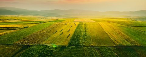 Aerial of beautiful sunset over agricultural fields.; Shutterstock ID 1837036909; purchase_order: 1086744798; job: Annegret Liebscht; client: APB/KS; other: 20782208