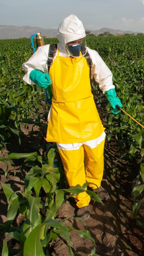 pesticide application on a corn field for pest control; Shutterstock ID 2018369114; purchase_order: 1086744798; job: Annegret Liebscht; client: APB/KS; other: 20782208