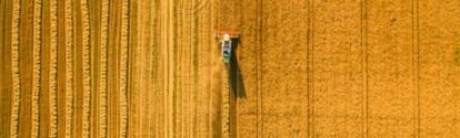 Harvester machine working in field . Combine harvester agriculture machine harvesting golden ripe wheat field. Agriculture. Aerial view. From above.; Shutterstock ID 474467110; PO Number: Shutterstock 1086744798: 1086744798; Name des Bestellers: Tobias Schulte; Abteilung: APM/KB; SAP Nummer: 20768476; 474467110