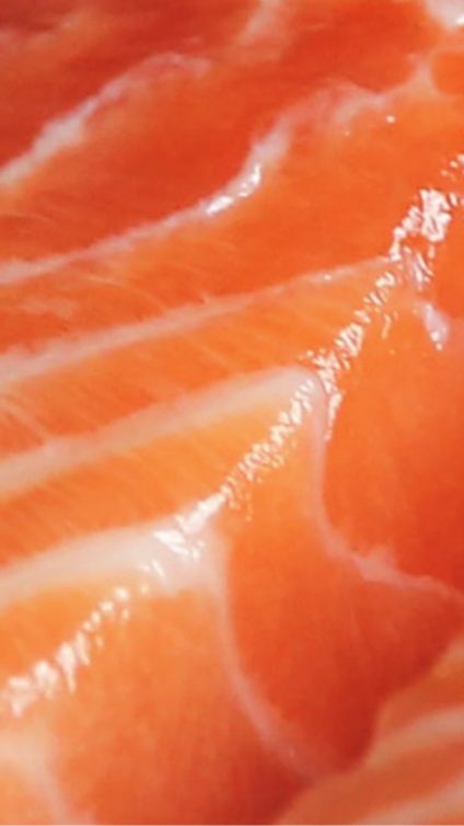 Animal feed additives - Photo of salmon meat