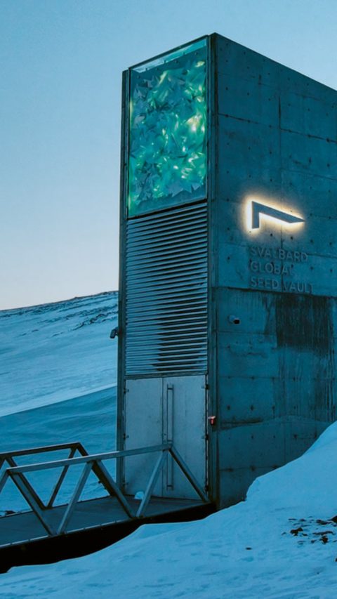 Der Saatgut-Tresor Global Seed Vault im norwegischen Spitzbergen umhüllt von Schnee.