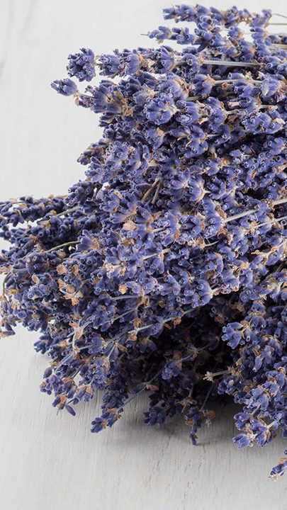 Photo of Lavender essential oil ingredients: Lavender bouquets