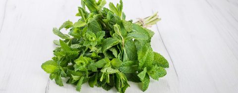 Photo of Menthol aroma ingredients: Bouquet of peppermint