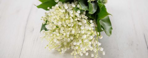 Photo of Muguet fragrance ingredients: Lily of the valley bouquet